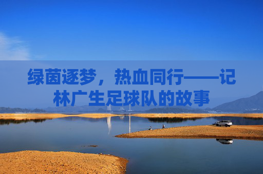 绿茵逐梦，热血同行——记林广生足球队的故事