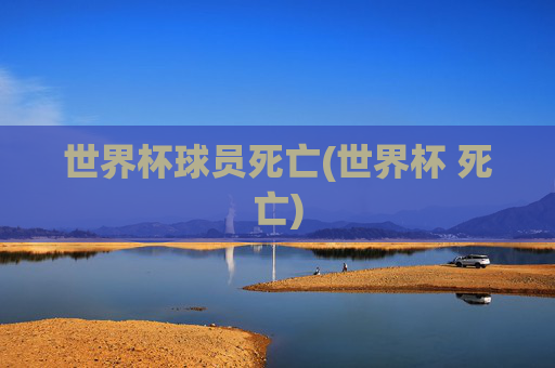 世界杯球员死亡(世界杯 死亡)