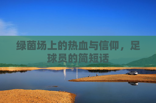 绿茵场上的热血与信仰,足球员的简短话