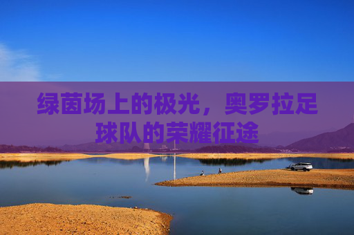 绿茵场上的极光，奥罗拉足球队的荣耀征途