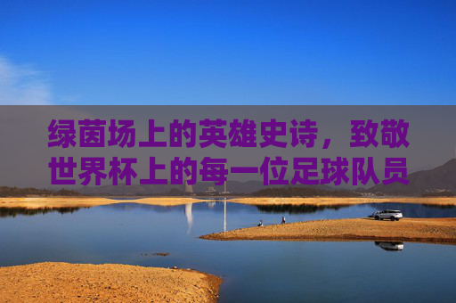绿茵场上的英雄史诗，致敬世界杯上的每一位足球队员