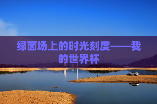 绿茵场上的时光刻度——我的世界杯