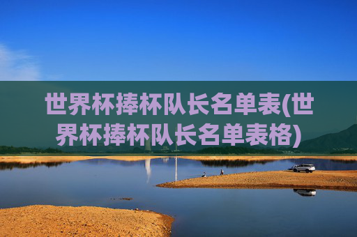 世界杯捧杯队长名单表(世界杯捧杯队长名单表格)