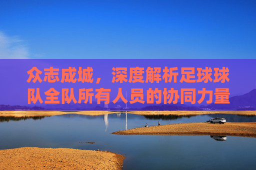 众志成城,深度解析足球球队全队所有人员的协同力量