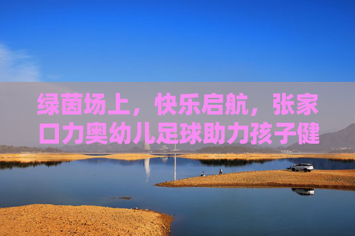 绿茵场上,快乐启航,张家口力奥幼儿足球助力孩子健康成长