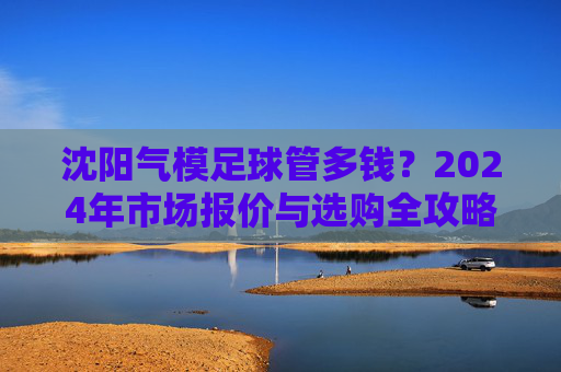 沈阳气模足球管多钱?2024年市场报价与选购全攻略