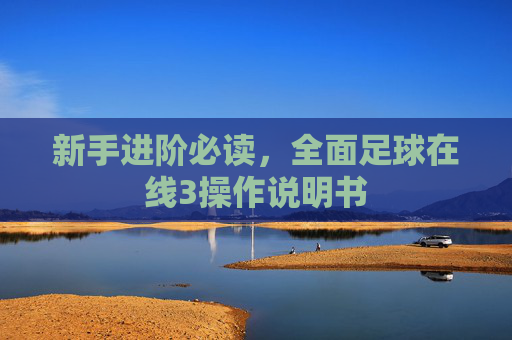 新手进阶必读,全面足球在线3操作说明书