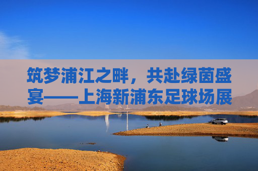 筑梦浦江之畔,共赴绿茵盛宴——上海新浦东足球场展望