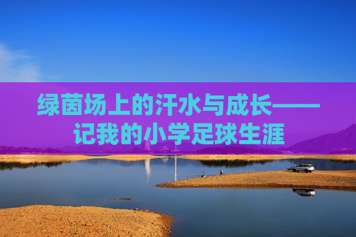绿茵场上的汗水与成长——记我的小学足球生涯