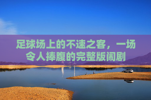 足球场上的不速之客，一场令人捧腹的完整版闹剧
