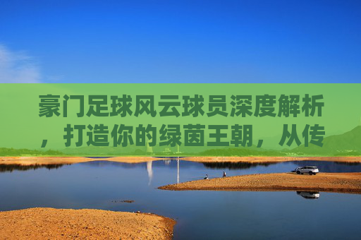 豪门足球风云球员深度解析，打造你的绿茵王朝，从传奇巨星到潜力新星