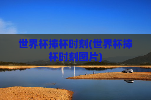 世界杯捧杯时刻(世界杯捧杯时刻图片)