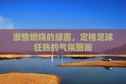 激情燃烧的绿茵,定格足球狂热的气氛图画