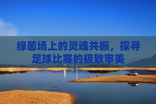 绿茵场上的灵魂共振，探寻足球比赛的极致审美