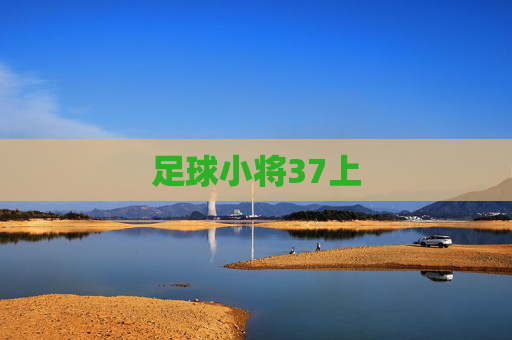 足球小将37上