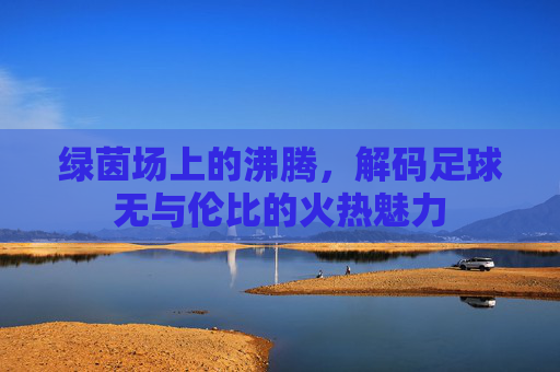 绿茵场上的沸腾,解码足球无与伦比的火热魅力