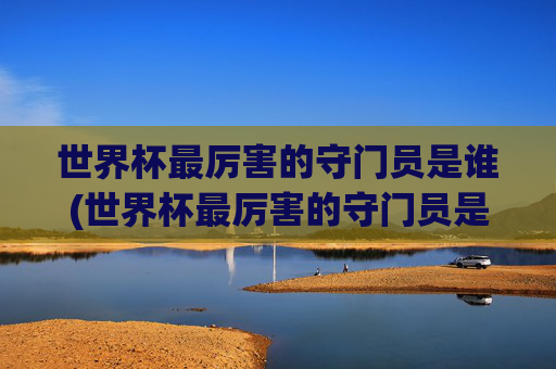 世界杯最厉害的守门员是谁(世界杯最厉害的守门员是谁啊)
