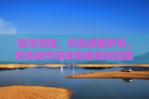 规范竞技,共筑绿茵梦想,青岛城市足球竞赛规则深度解读