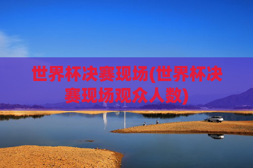 世界杯决赛现场(世界杯决赛现场观众人数)