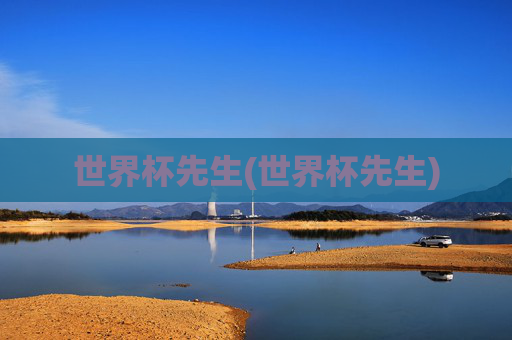 世界杯先生(世界杯先生)