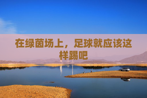 在绿茵场上,足球就应该这样踢吧