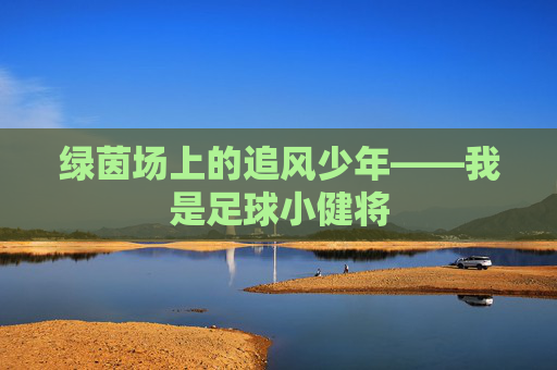 绿茵场上的追风少年——我是足球小健将