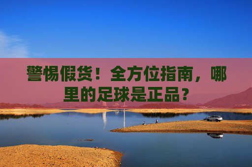 警惕假货！全方位指南，哪里的足球是正品？