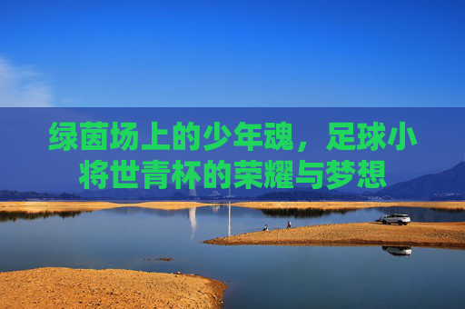 绿茵场上的少年魂，足球小将世青杯的荣耀与梦想