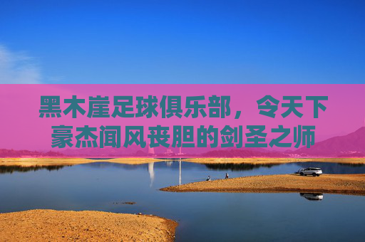 黑木崖足球俱乐部，令天下豪杰闻风丧胆的剑圣之师