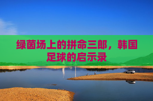 绿茵场上的拼命三郎，韩国足球的启示录