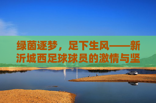 绿茵逐梦，足下生风——新沂城西足球球员的激情与坚持