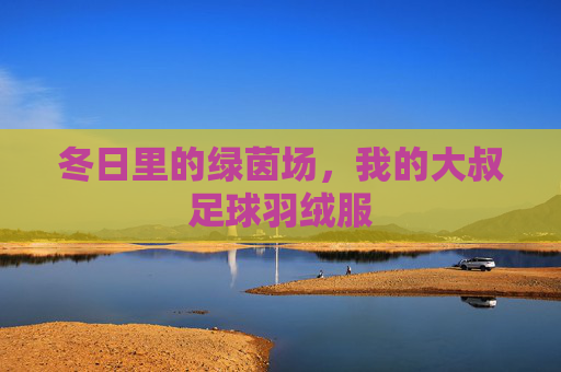 冬日里的绿茵场,我的大叔足球羽绒服