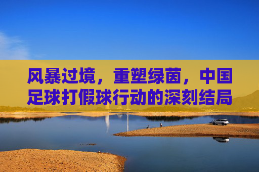 风暴过境,重塑绿茵,中国足球打假球行动的深刻结局与未来展望