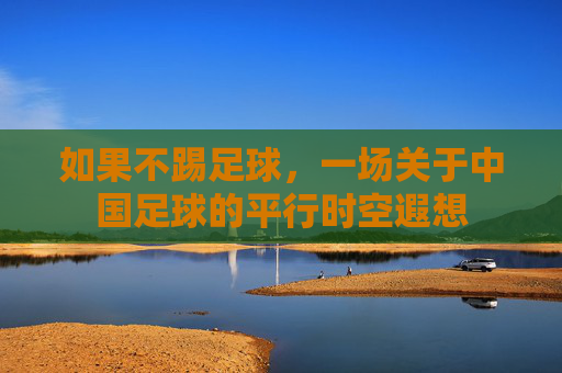 如果不踢足球,一场关于中国足球的平行时空遐想