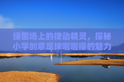 绿茵场上的律动精灵,探秘小学创意足球啦啦操的魅力