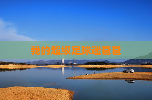 我的超级足球迷爸爸