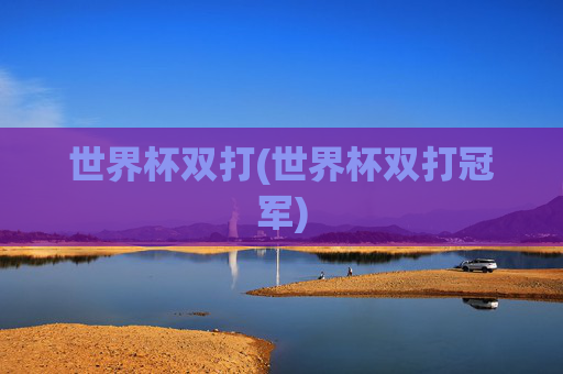 世界杯双打(世界杯双打冠军)