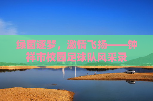 绿茵逐梦，激情飞扬——钟祥市校园足球队风采录