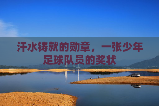 汗水铸就的勋章，一张少年足球队员的奖状