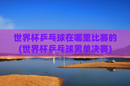 世界杯乒乓球在哪里比赛的(世界杯乒乓球男单决赛)