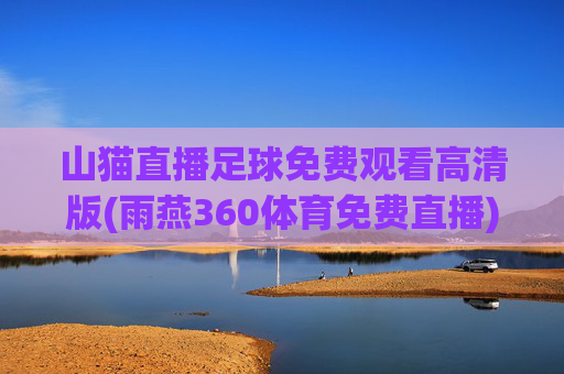 山猫直播足球免费观看高清版(雨燕360体育免费直播)