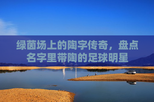 绿茵场上的陶字传奇，盘点名字里带陶的足球明星