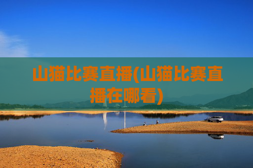 山猫比赛直播(山猫比赛直播在哪看)