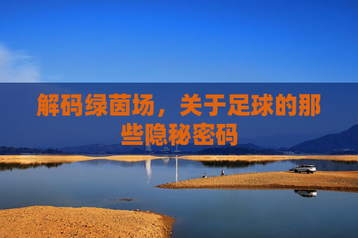 解码绿茵场,关于足球的那些隐秘密码