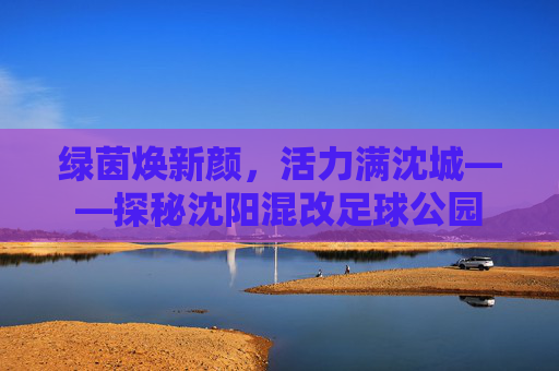 绿茵焕新颜,活力满沈城——探秘沈阳混改足球公园