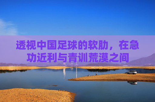 透视中国足球的软肋,在急功近利与青训荒漠之间