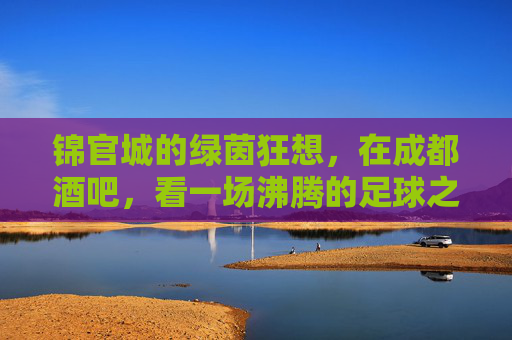 锦官城的绿茵狂想,在成都酒吧,看一场沸腾的足球之夜