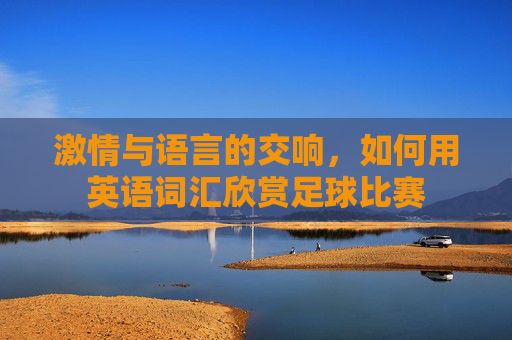 激情与语言的交响，如何用英语词汇欣赏足球比赛