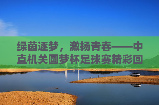 绿茵逐梦，激扬青春——中直机关圆梦杯足球赛精彩回顾