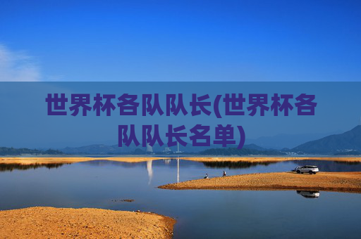 世界杯各队队长(世界杯各队队长名单)
